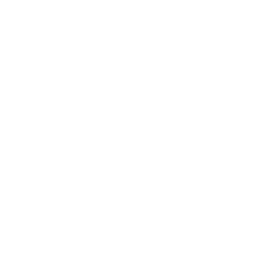 chartered accountants with over 30 years experience